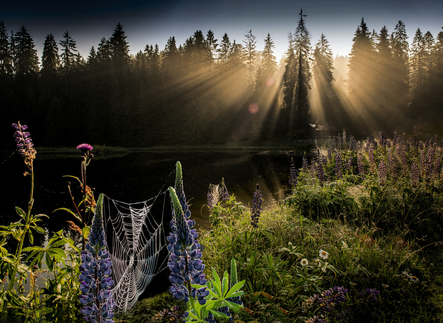 Morgens an der Hammerklause