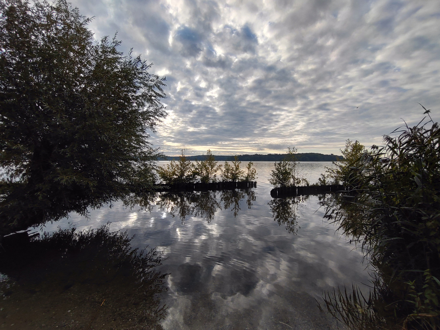 morgens an der Havel