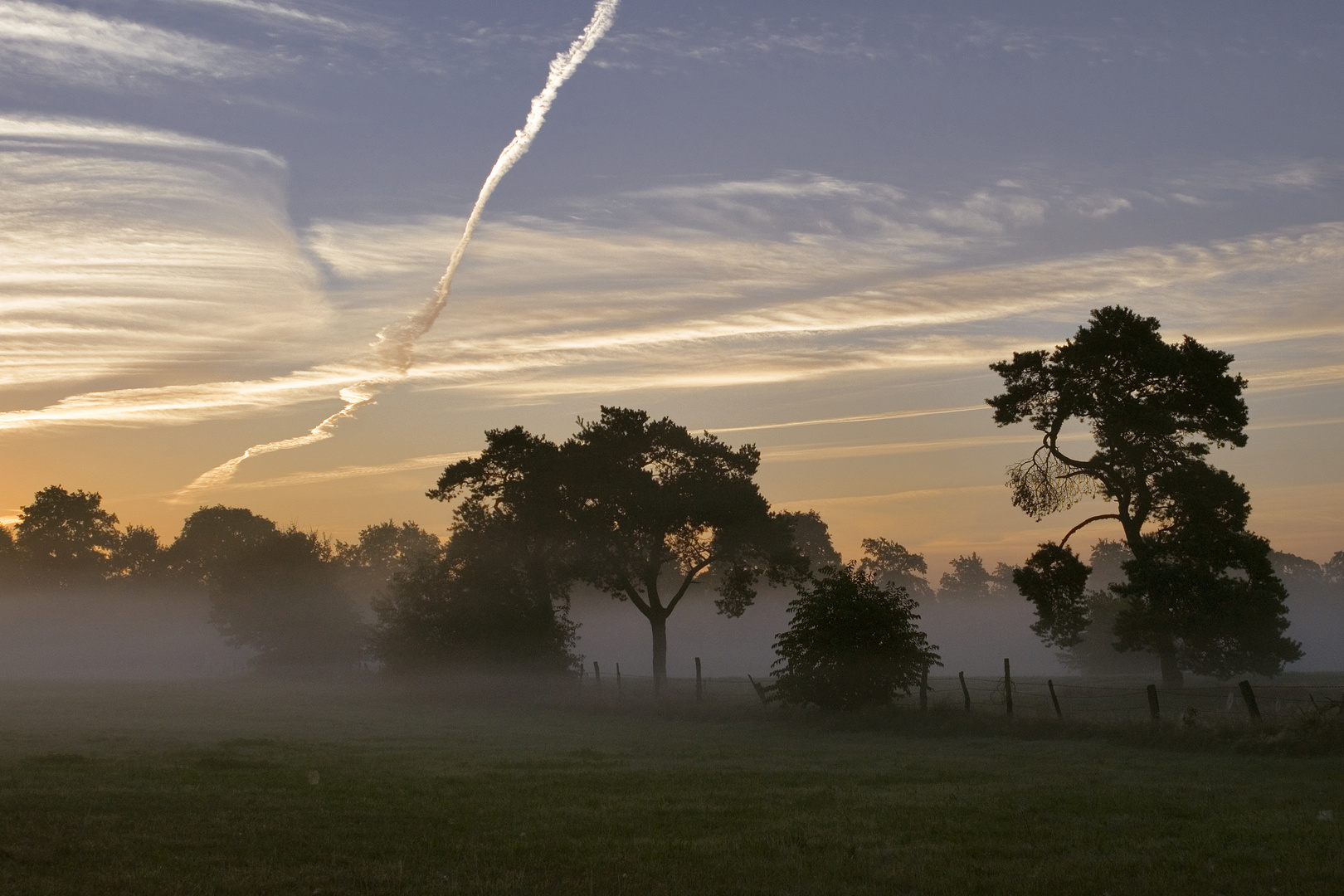 Morgens an der Koppel