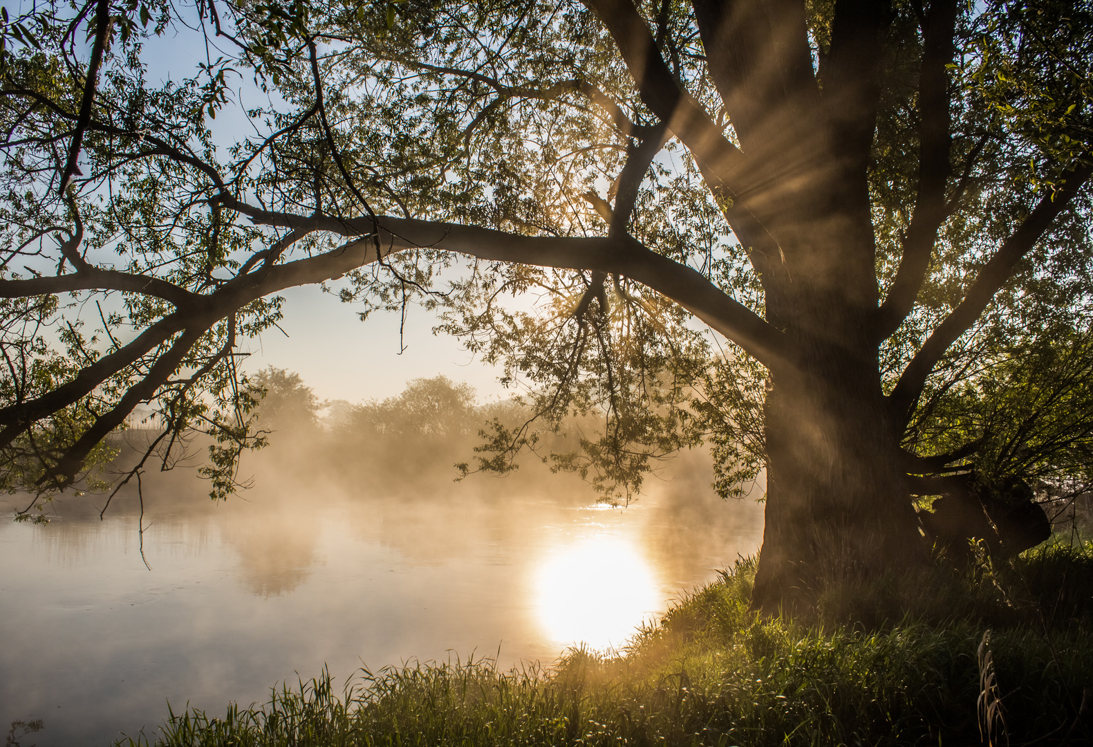 Morgens an der Lahn bei Löhnberg