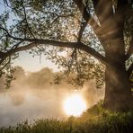 Morgens an der Lahn bei Löhnberg