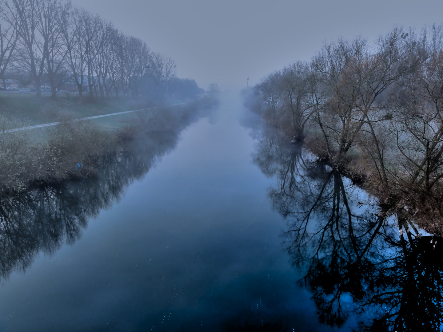 Morgens an der Leine