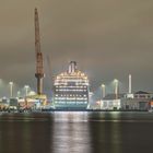 Morgens an der Lloyd Werft in Bremerhaven (1)