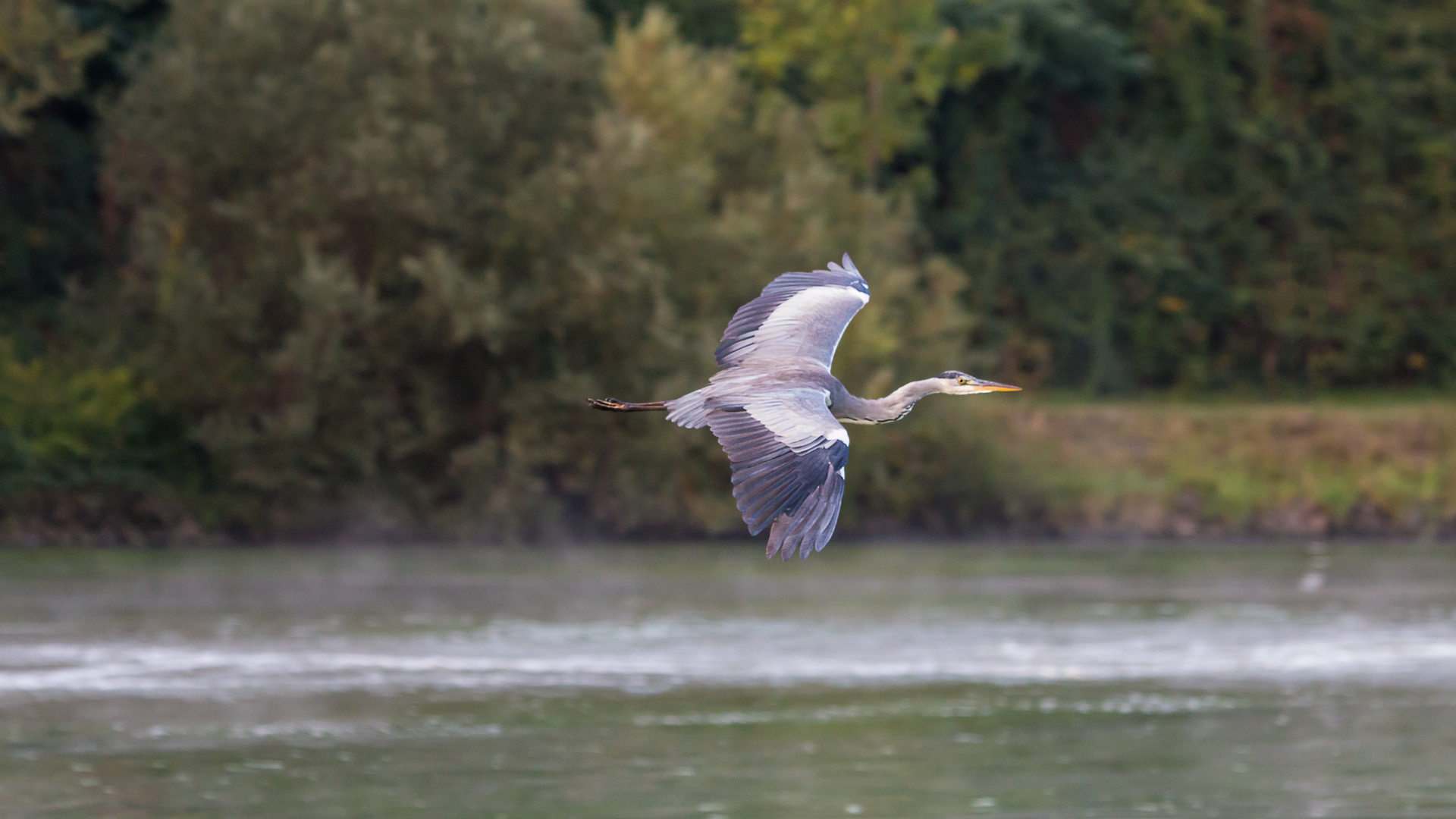 Morgens an der Mosel