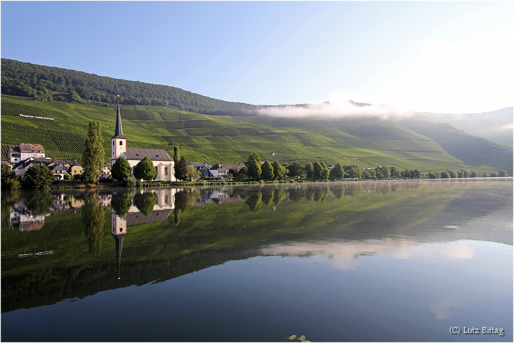 Morgens an der Mosel