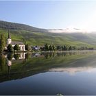 Morgens an der Mosel