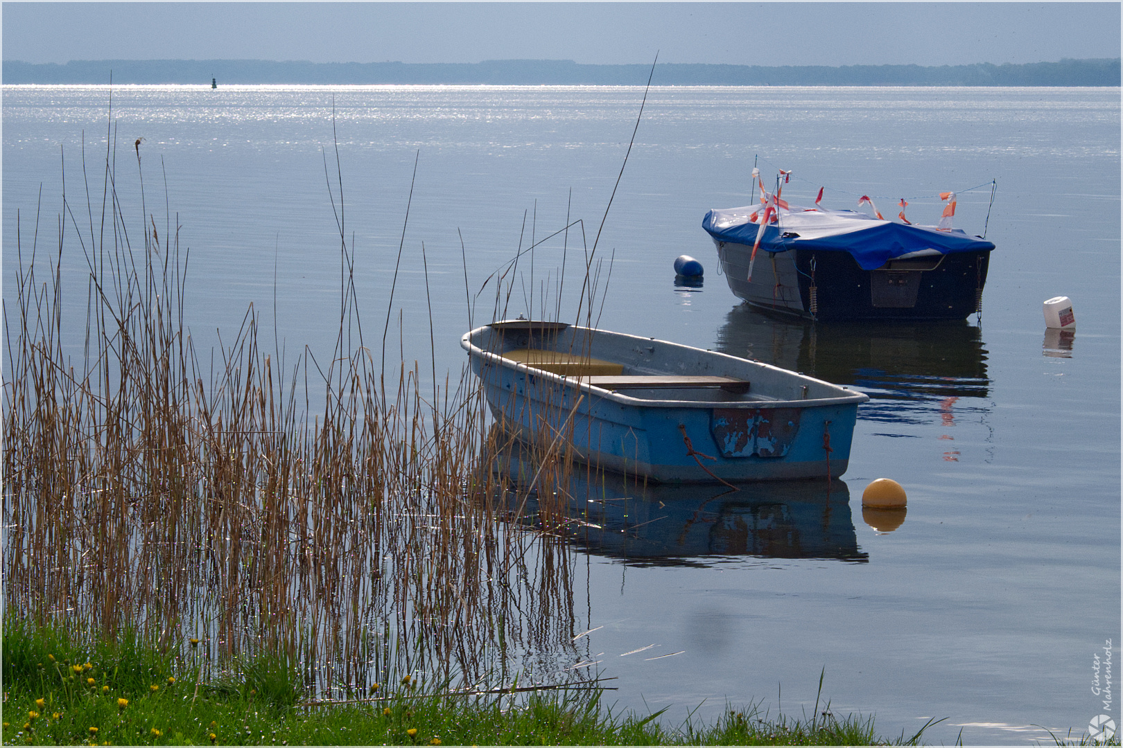 Morgens an der Müritz