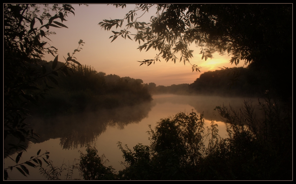 morgens an der Mulde