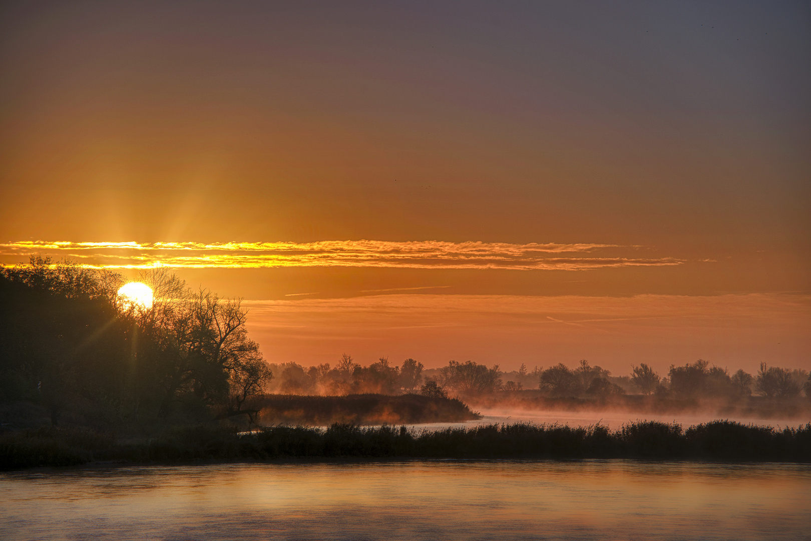 Morgens an der Oder