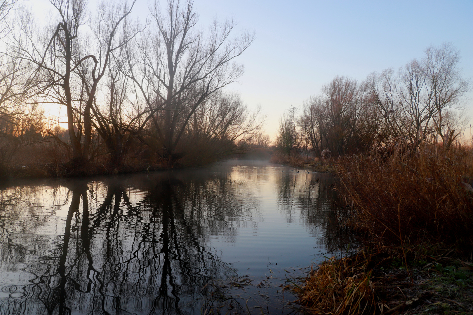 Morgens an der Oker