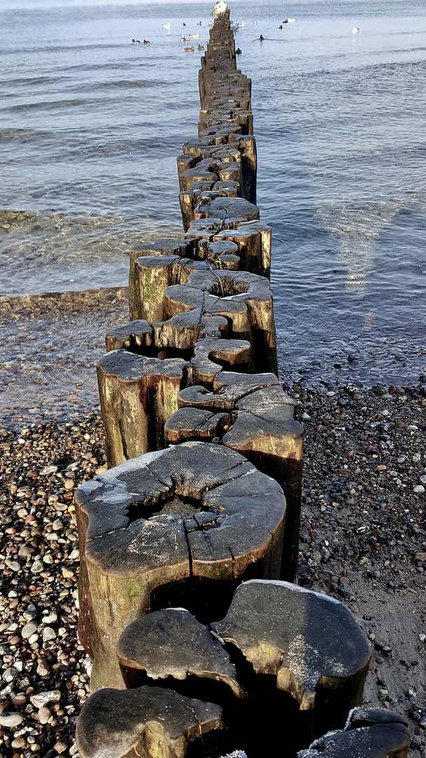 Morgens an der Ostsee 