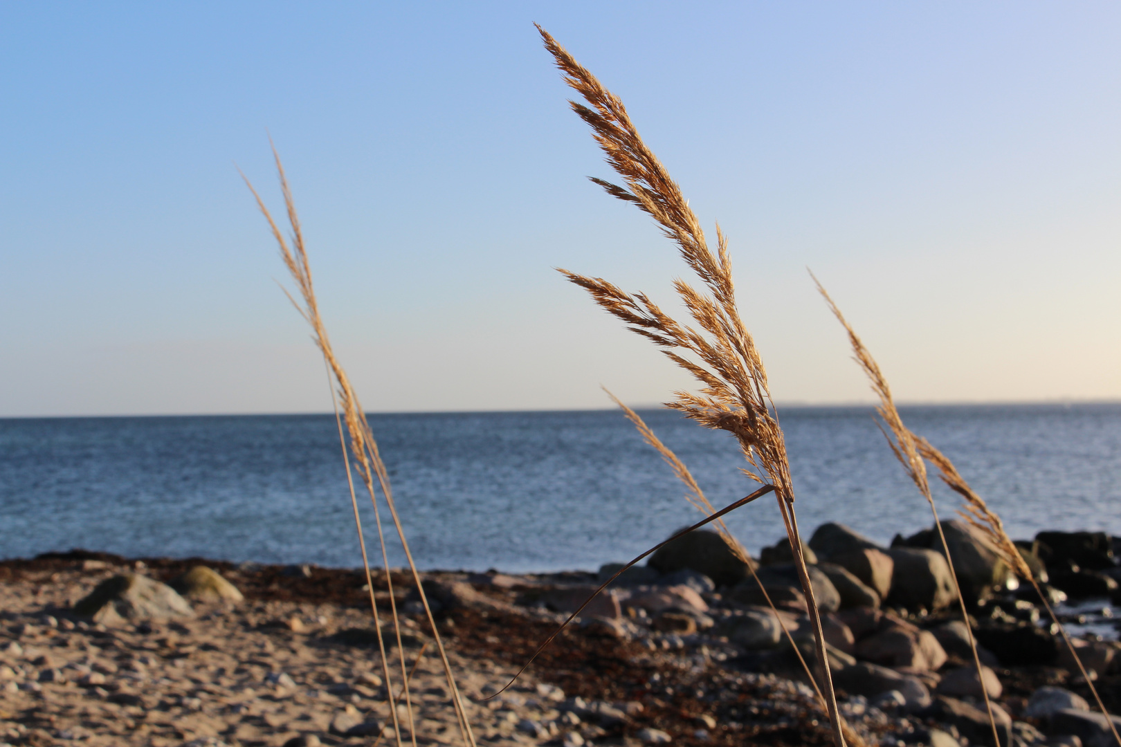 Morgens an der Ostsee