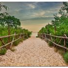 Morgens an der Ostsee- (oder der Weg zum Strand)