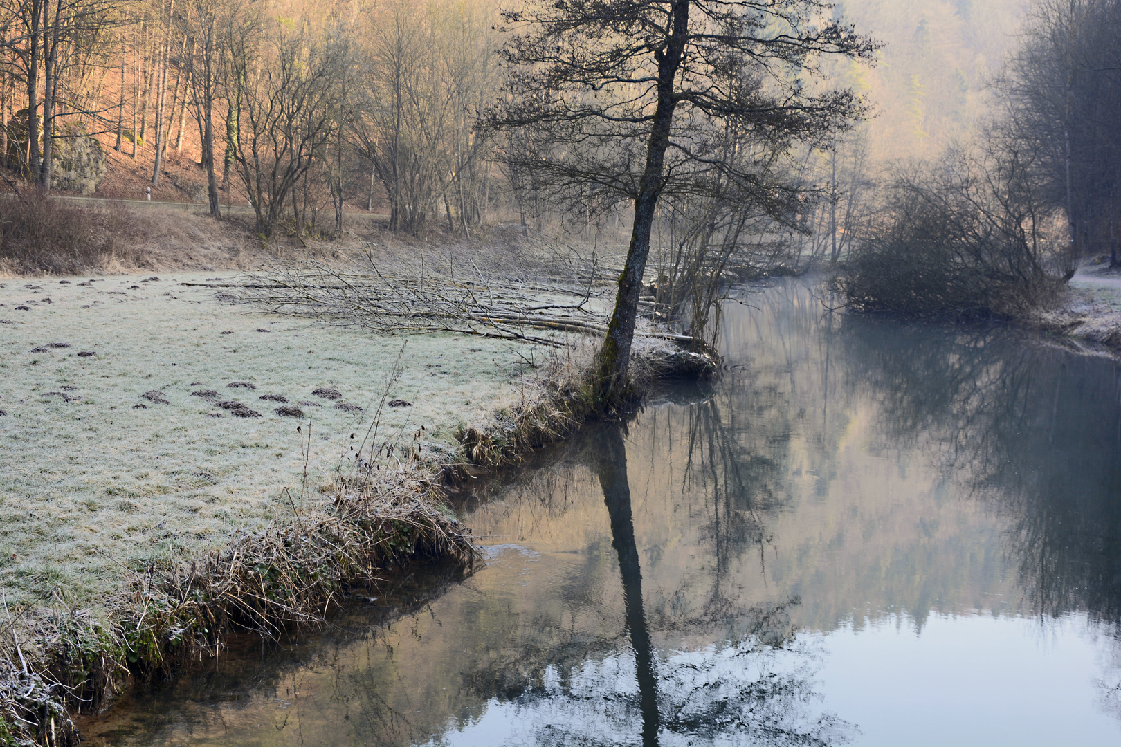 Morgens an der Pegnitz