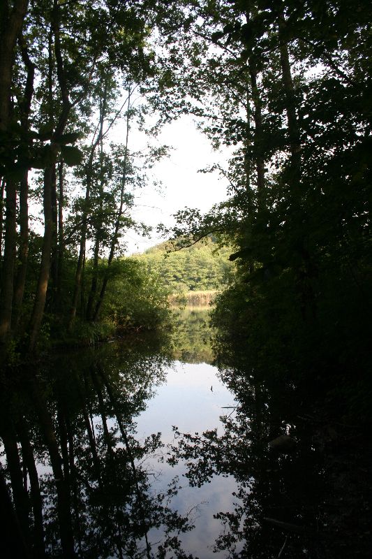 Morgens an der Prinzeninsel