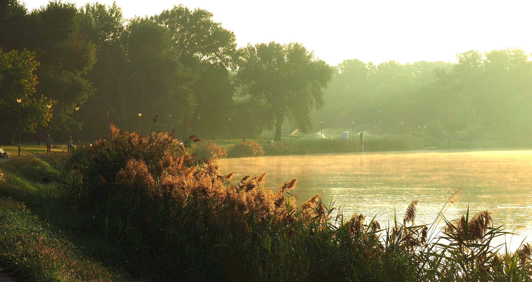 Morgens an der Rhone