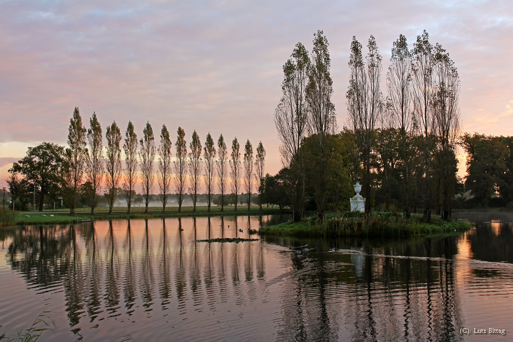 Morgens an der Rousseau-Insel