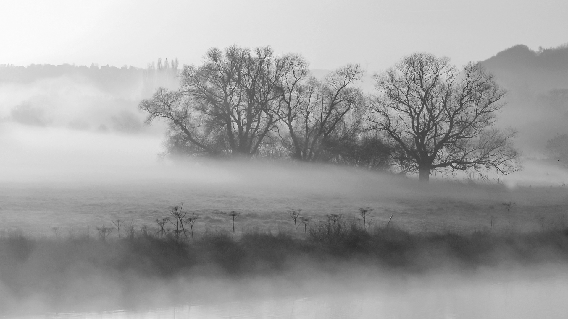 Morgens an der Ruhr