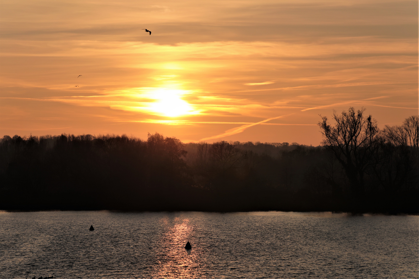 Morgens an der Ruhr...