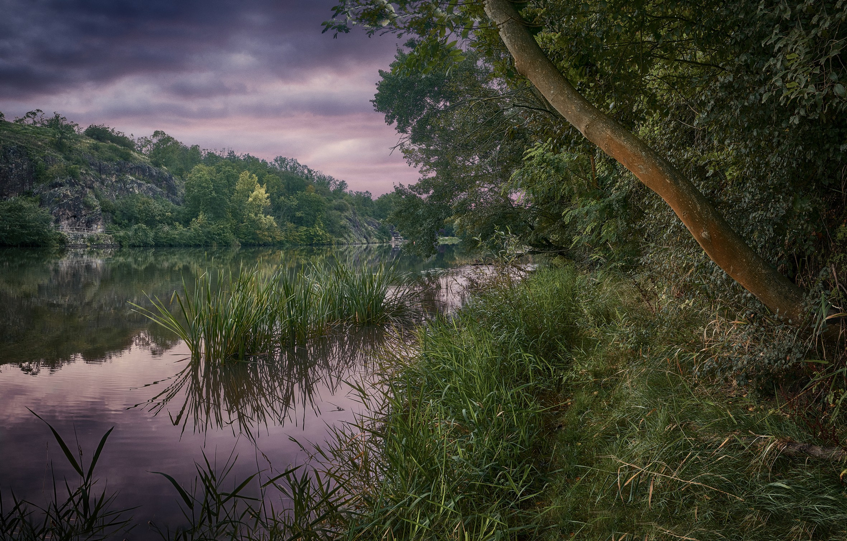 morgens an der Saale