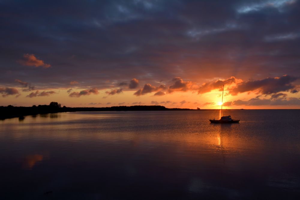 Morgens an der Schlei