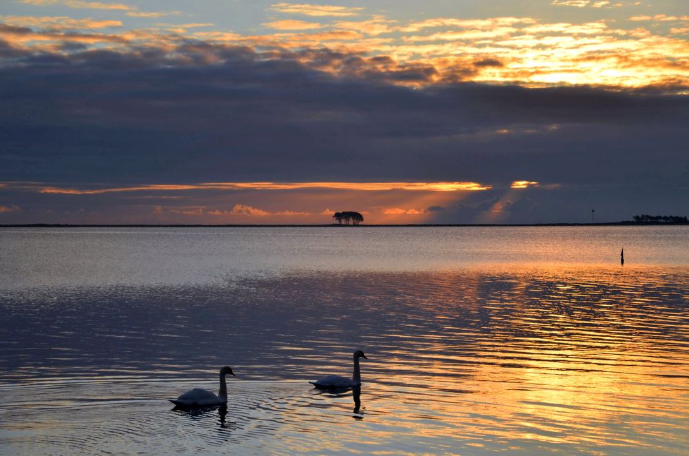 Morgens an der Schlei