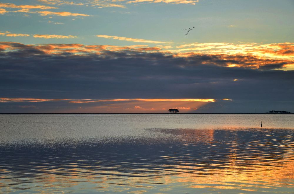 Morgens an der Schlei