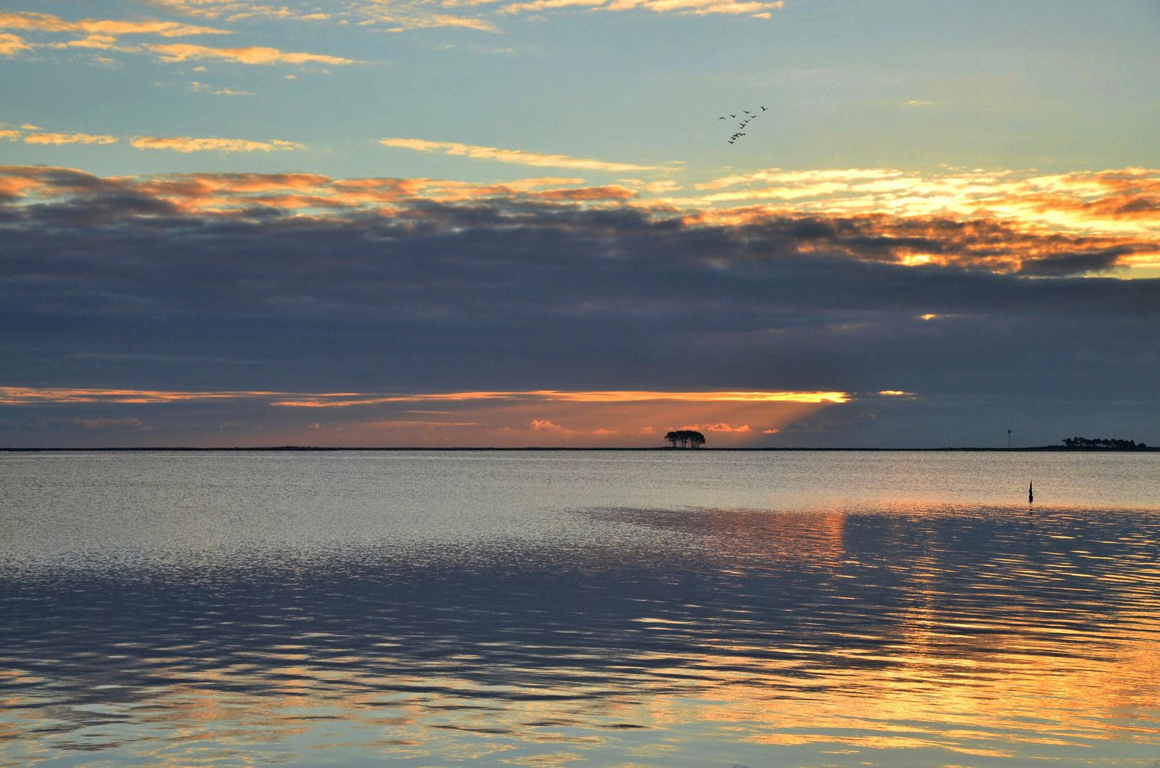 Morgens an der Schlei