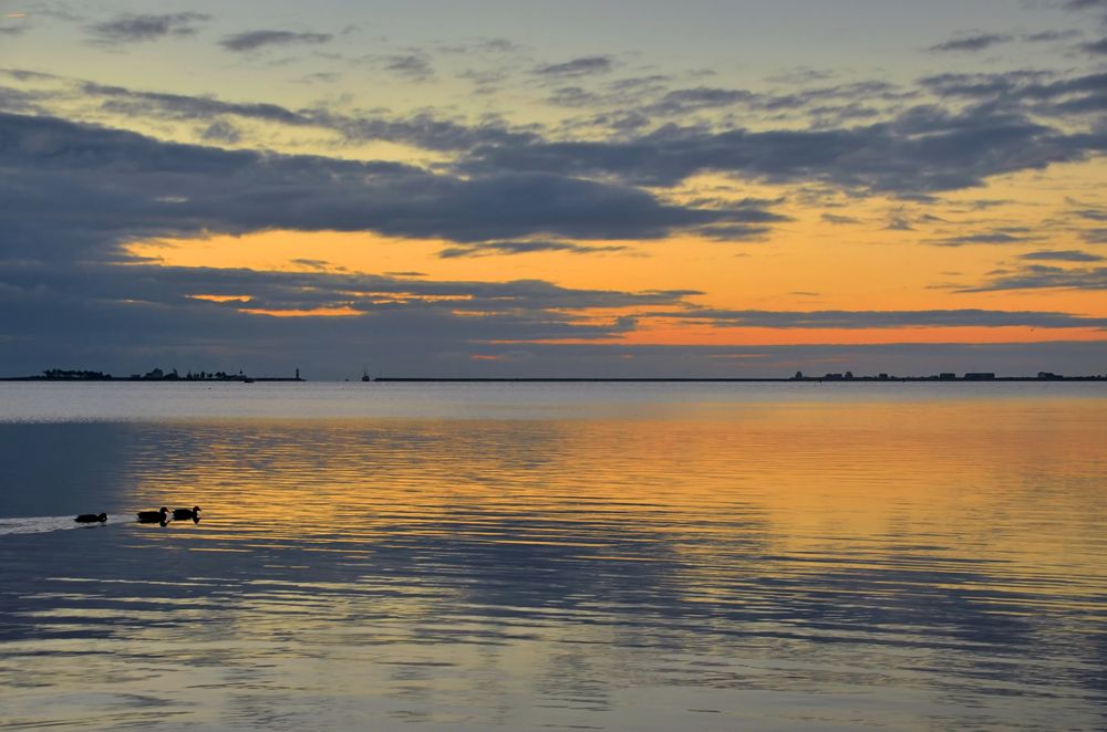 Morgens an der Schlei