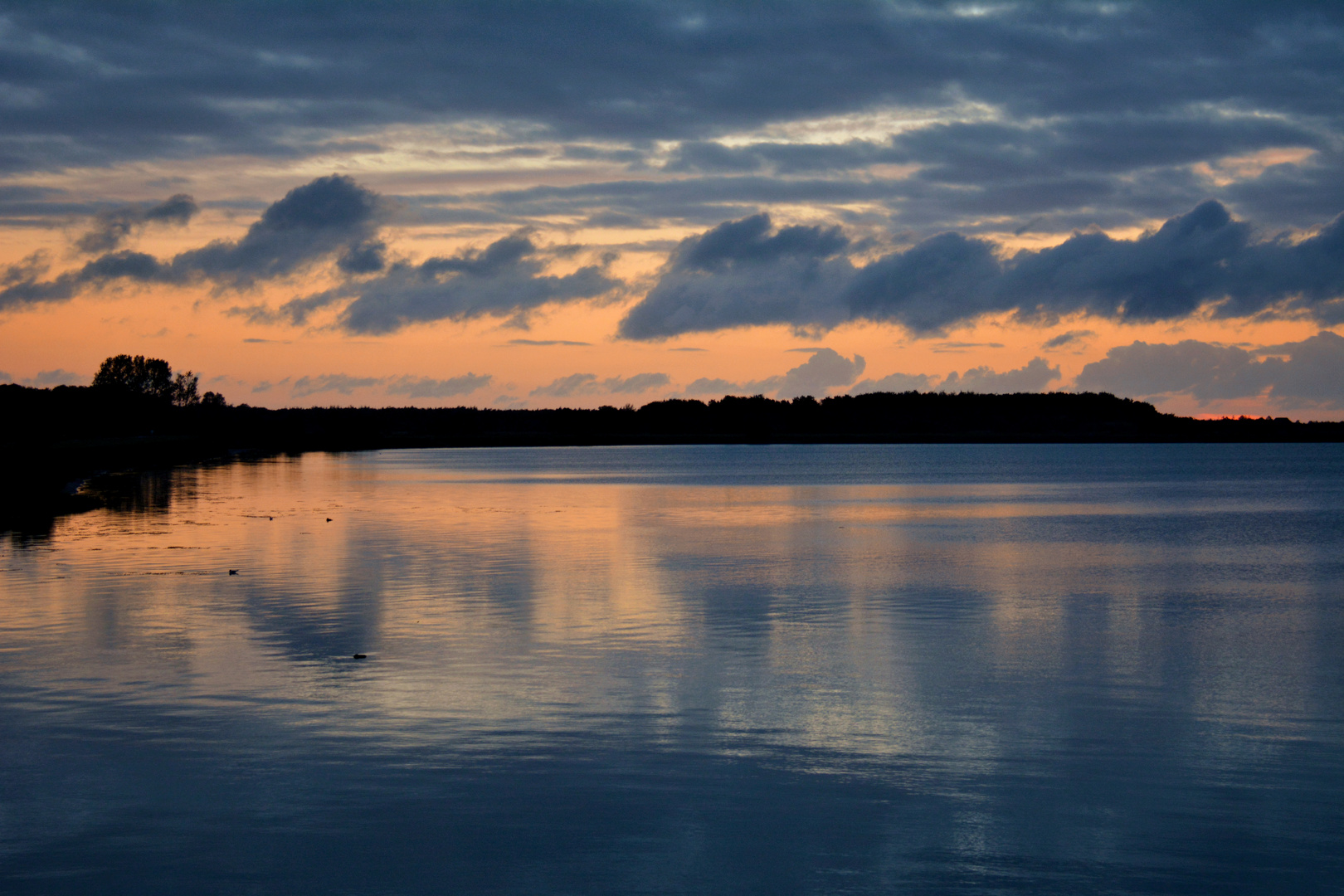 Morgens an der Schlei