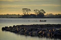 Morgens an der Schlei