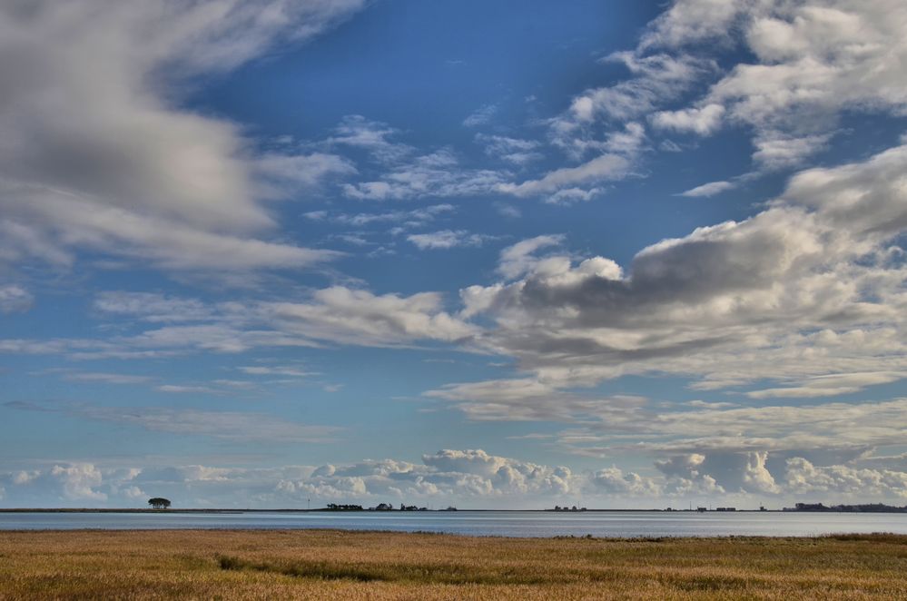 Morgens an der Schlei