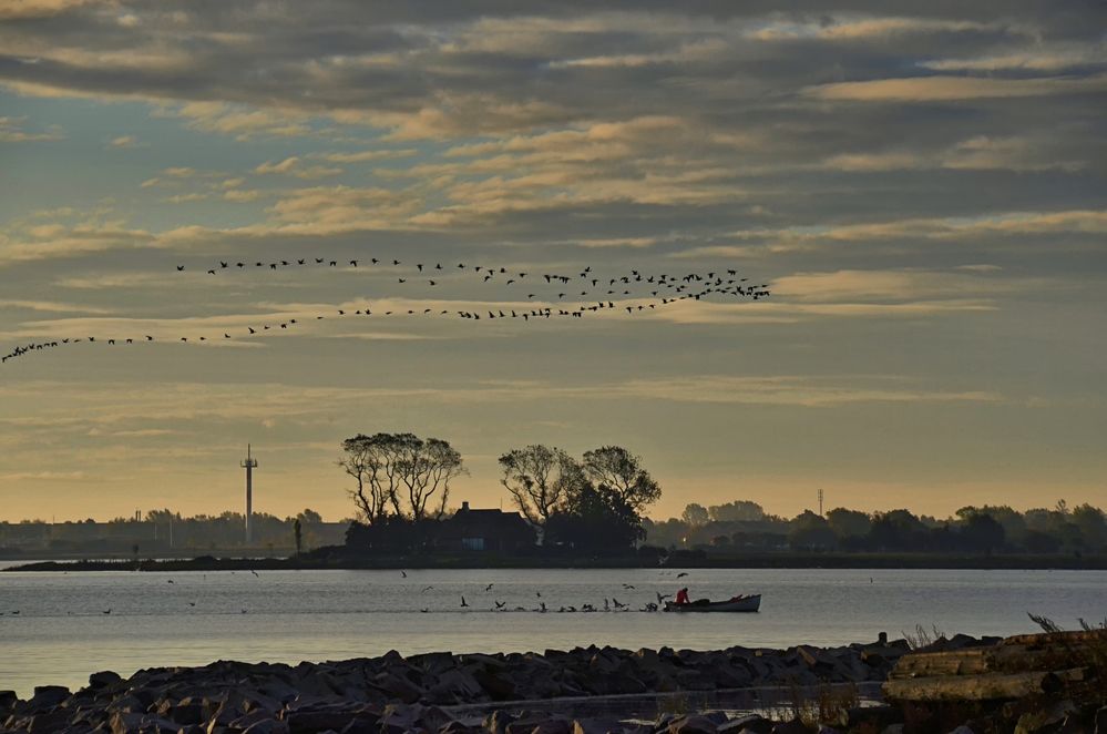 Morgens an der Schlei