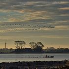 Morgens an der Schlei