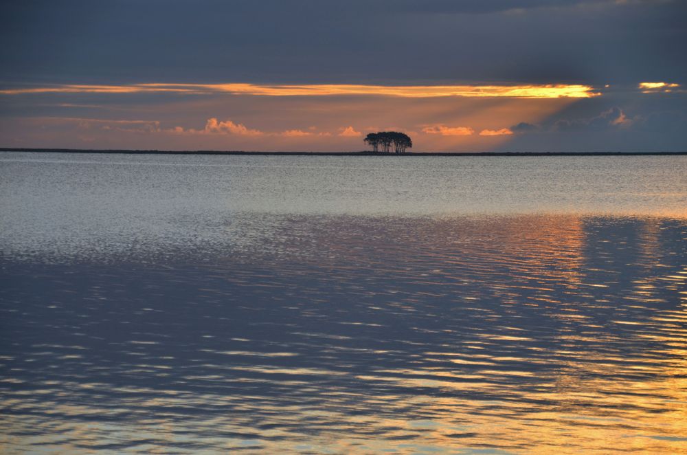 Morgens an der Schlei