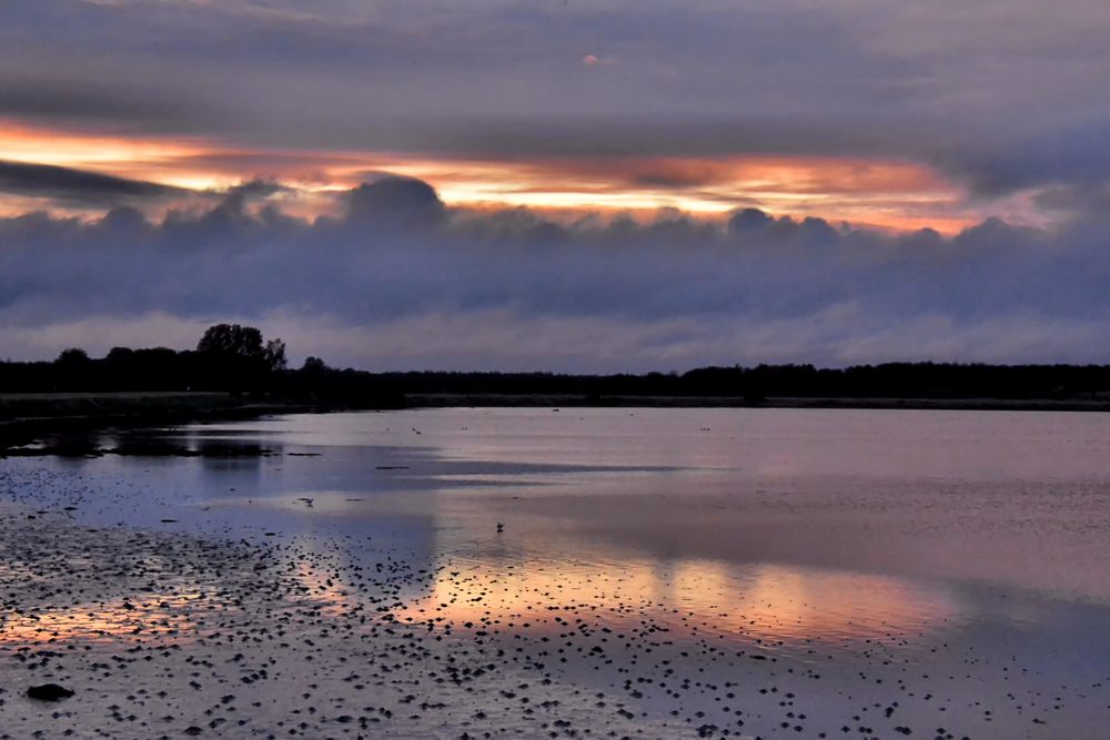 morgen`s an der  SCHLEI