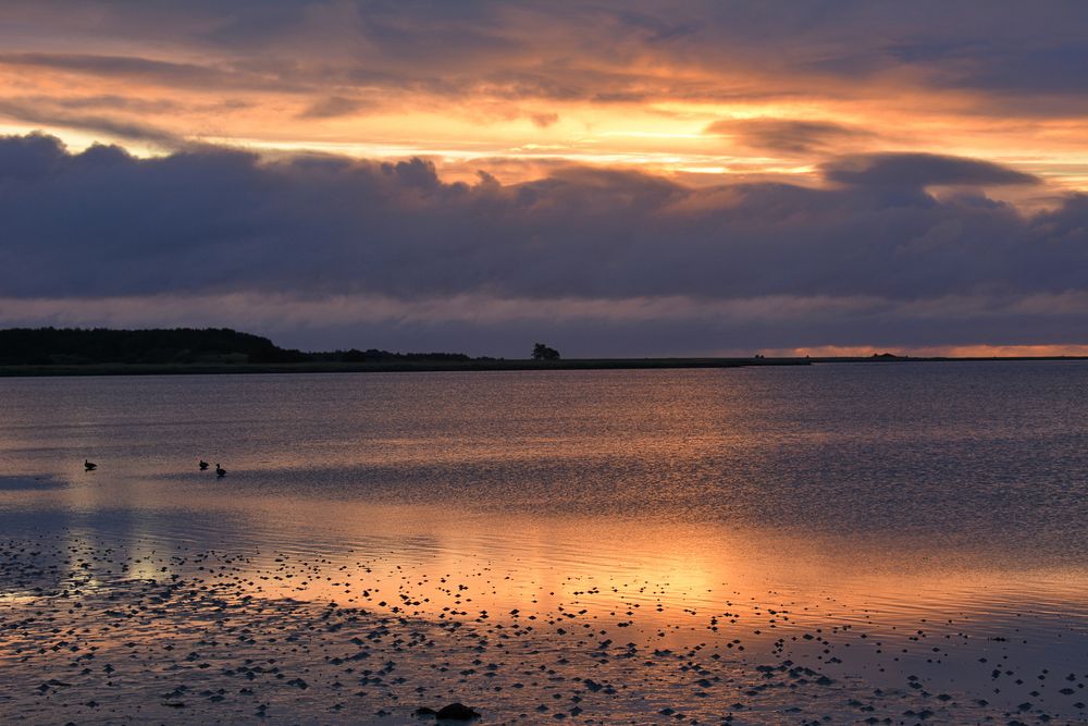 morgen`s an der  SCHLEI