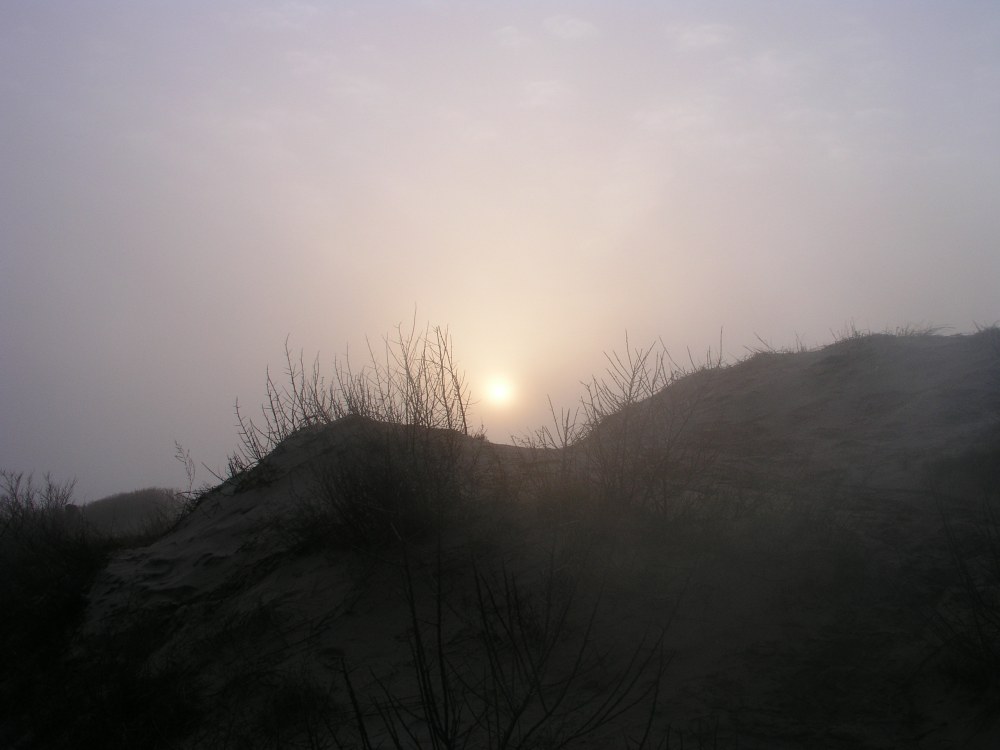 Morgens an der Steilküste