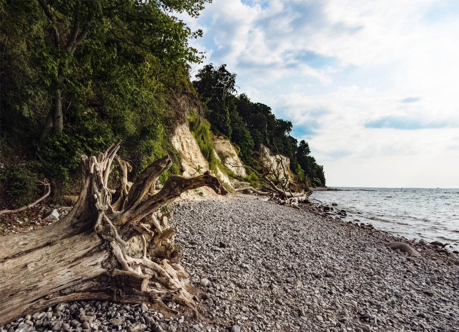 Morgens an der Steilküste - Sassnitz 07/2021