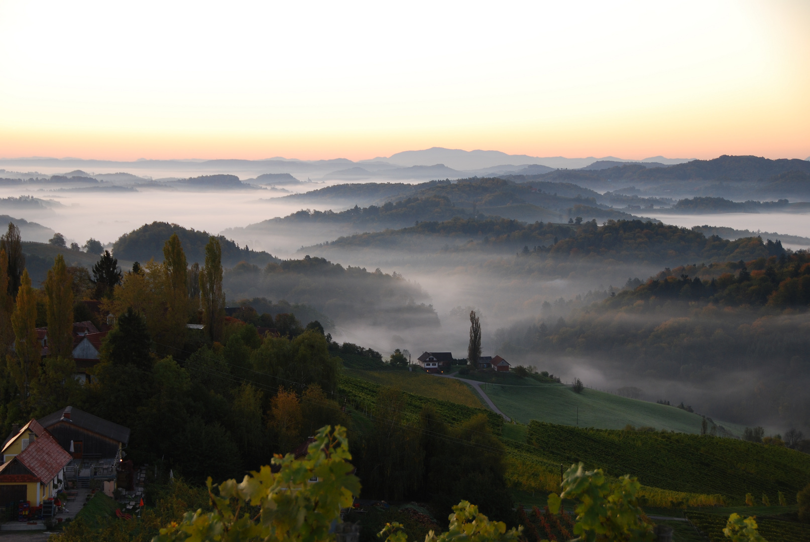 Morgens an der steirischen Weinstraße