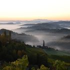 Morgens an der steirischen Weinstraße