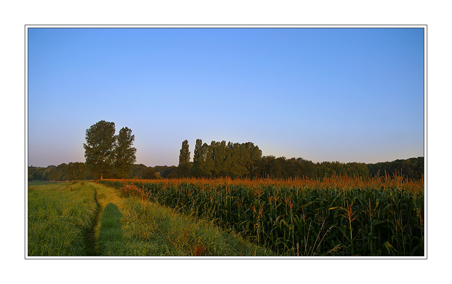 Morgens an der Wupper II