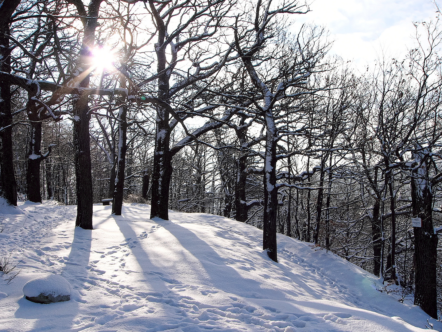 Morgens auf dem Angnesberg