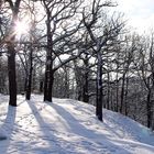 Morgens auf dem Angnesberg