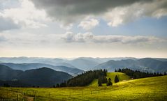 Morgens auf dem Belchen