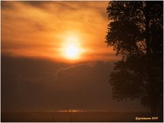 morgens auf dem bodden......