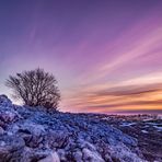 Morgens auf dem Breitenstein