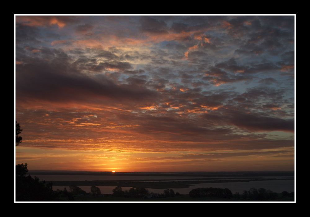 Morgens auf dem Dornbusch von Hiddensee