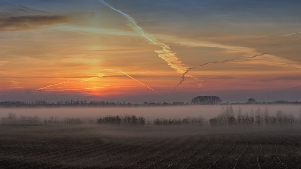 Morgens auf dem Feld