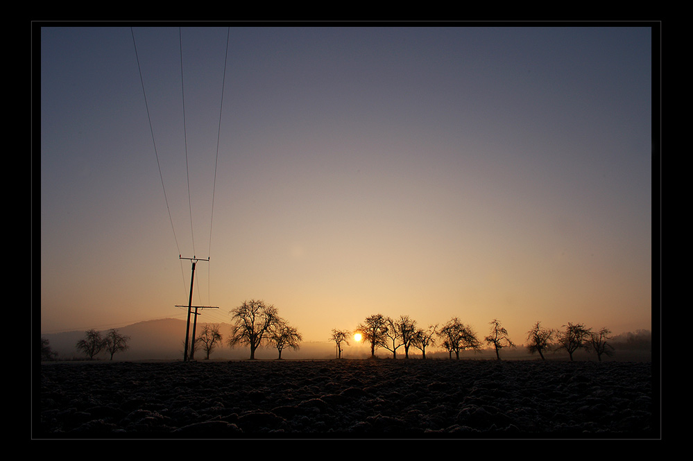 morgens auf dem Feld